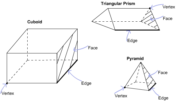3d1nets