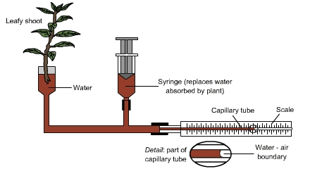 10.15_transpiration