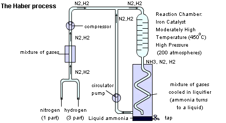 11.6_using_a_catalyst