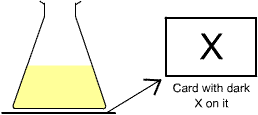 rates_reaction